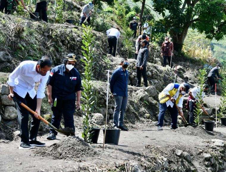 Presiden Jokowi Tanam Pohon Bersama Masyarakat di Desa Simangulampe