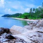 Pulau Pekajang, yang berada dalam gugusan Pulau Tujuh di bawah Pulau Singkep, tercatat sebagai bagian dari wilayah Kerajaan Lingga-Riau