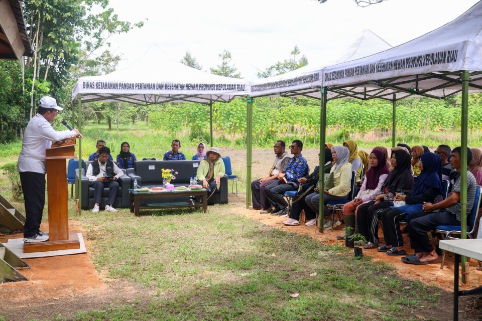 Peluncuran program dilakukan secara simbolis oleh Gubernur Kepri H. Ansar Ahmad bersama Ketua TP-PKK Provinsi Kepri, Dewi Kumalasari Ansar, di Balai Benih Induk Provinsi Kepri, Kamis (17/7).