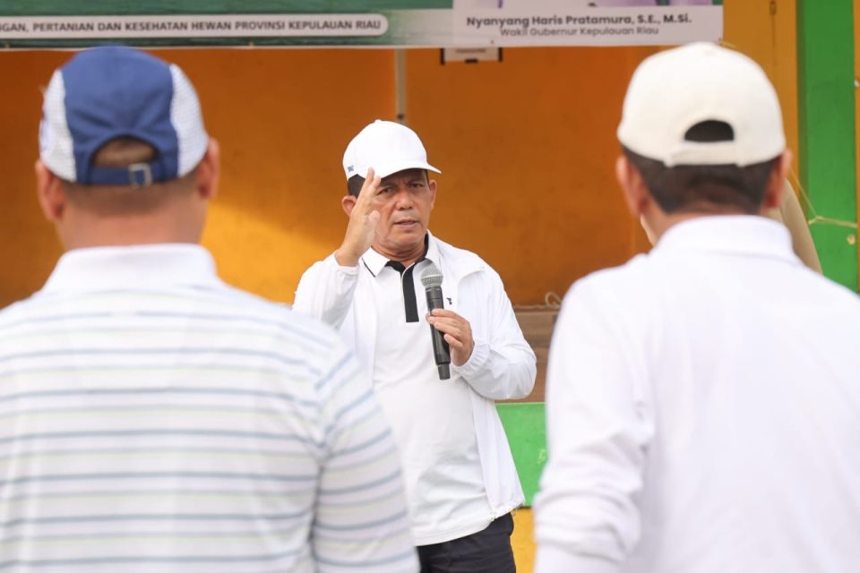 Pemerintah Provinsi Kepulauan Riau (Kepri) menggelar kegiatan senam sehat dan penanaman pohon secara massal di Pulau Penyengat, Tanjungpinang, Kamis (17/7/2025).